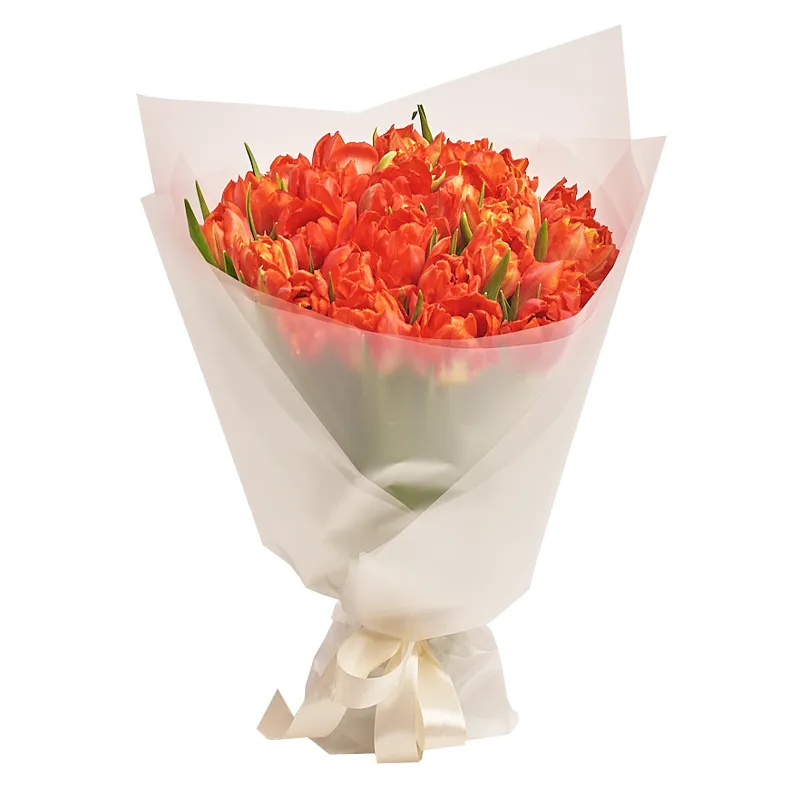 25 пионовидных оранжевых тюльпанов