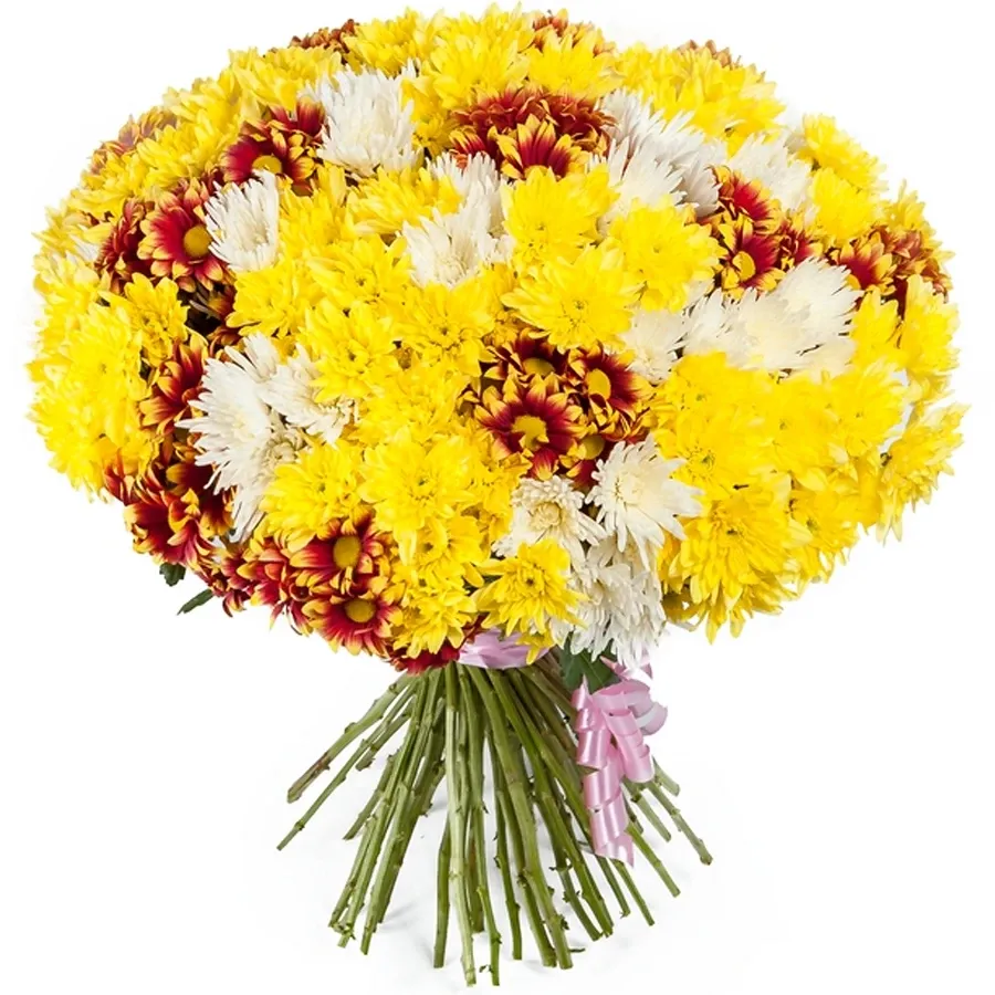 Хризантемы кустовые солнечный микс